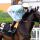 Fiorente mit Jim Doyle 2012 in Royal Ascot. www.galoppfoto.de - Sandra Scherning