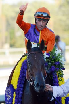 Überlegen sicherte sich Beholder unter Gary Stevens den Breeders Cup Distaff, bereits ihr fünfter Sieg auf Gr. I-Level. Foto: www.galoppfoto.de - Peeo Ploff/Sorge