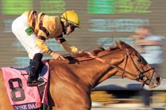 Wise Dan gewinnt nach 2012 auch 2013 die Breeders' Cup Mile. Foto: www.galoppfoto.de - Petr Guth/Sorge