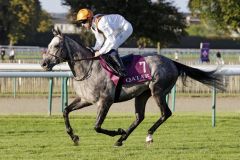 Jimmy Two Times beim Aufgalopp. www.galoppfoto.de - Frank Sorge