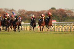 Ein Finish der besonderen Art zwischen zwei Stallgefährten: Gentildonna (rechts) und Orfevre. www.shibashuji.com - Yasuo Ito