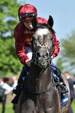 Roaring Lion unter Oisin Murphy. www.galoppfoto.de - JJ Clark