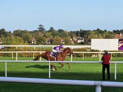 Exactly siegt mit Wayne Lordan in den Killavullan Stakes. Foto: Karina Strübbe