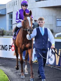 Exactly und Wayne Lordan nach dem Sieg in den Killavullan Stakes. Foto: Karina Strübbe