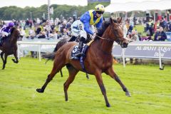 Desert Crown siegt in den Dante Stakes. www.galoppfoto.de - John James Clark