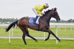 Sea Silk Road, hier im Mai in York unter William Buick. www.galoppfoto.de - JJ Clark