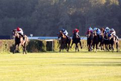 Neatico gewinnt mit Andrasch Starke den 23. Preis der Deutschen Einheit in Hoppegarten. www.galoppfoto.de - Sabine Brose