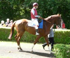 Theo Danon unter Andreas Suborics, Hannover Derby-Trial 2011. (Foto: GabrieleSuhr)