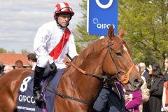 Night of Thunder mit Kieren Fallon vor den 2000 Guineas im Portät.  Foto: www. galoppfoto.de - Jim Clark/Sorge