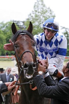 Al Kazeem mit James Doyle nach dem Sieg in den Prince of Wales's Stakes. Foto: www.galoppfoto.de - Frank Sorge