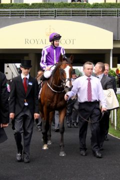 Via Triumphalis - Leading Light und Joesph O'Brien auf dem Weg zur Winner's Enclosure in Royal Ascot. Sky Lantern nach ihrem Sieg in den Coronation Stakes. Foto: www.galoppfoto.de - Sandra Scherning