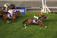 Star schlägt Star: Gentildonna gewinnt das Dubai Sheema Classic vor Cirrus des Aigles. Foto: www.galoppfoto.de - Frank Sorge