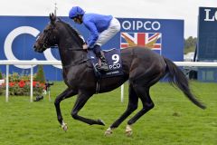 Jack Hobbs beim Aufgalopp vor den Champions Stakes, in den er Rang 3 belegte. www.galoppfoto.de - John James Clark