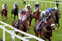 Irischer Sieg in den Chamion Stakes. Found nimmt den zweiten Platz ebenfalls mit auf die Insel, der Favorit Jack Hobbs wurde Dritter. www.galoppfoto.de - Sandra Scherning