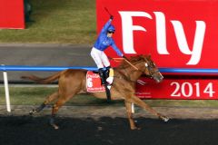 Doch noch ein Sieg für Godolphin, African Story gewinnt den Dubai World Cup. Foto: www.galoppfoto.de - Frank Sorge