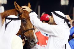 Streicheleinheiten: Scheich Hamdan bin Mohammed al Maktoum und African Story. Foto: www.galoppfoto.de - Frank Sorge