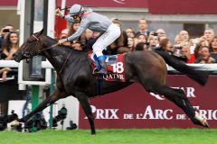 Fünf Längen vor dem Feld: Treve mit Thierry Jarnet sind die souveränen Sieger im Prix de l'Arc de Triomphe. www.galoppfoto.de - Frank Sorge