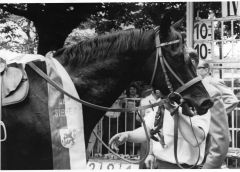 Waidmann nach dem Großen Preis von Düsseldorf. Foto: Archiv Gestüt Ravensberg