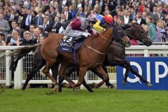 Auf den letzten Metern ringt Gordon Lord Byron Tropics nieder. Foto: www.galoppfoto.de - Jim Clark/Sorge