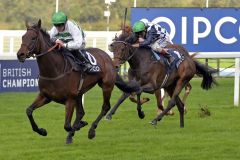 Keine Probleme mit dem schweren Geläuf: Madame Chiang. Foto: www.galoppfoto.de - Jim Clark/Sorge