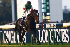 Epiphaneia gewinnt unter Christophe Soumillon den Japan Cup. www.galoppfoto.de - Yasuo Ito