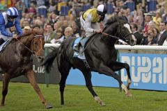 Überraschungssieg zum Feierabend: Berkshire entscheidet die Darley Stakes für sich. Foto: www.galoppfoto.de - Jim Clark/Sorge