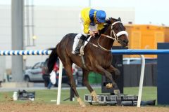 Schier ohne Gegner war Mubtaahij im Hong Kong Derby. Foto: Peter Heinzmann