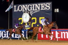 Prince Bishop hält den Sieg im Dubai World Cup im Land. Foto: Peter Heinzmann