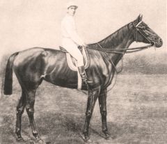 1885 Derbysiegerin Budgayöngye ("Perle von Budapest"), Tochter der Kincsem
