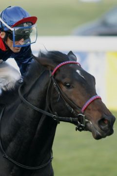 Lamool Sieger im Münchener Auktionsrennen.www.turfstock.com