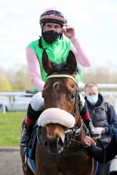 Rubaiyat mit Andrasch Starke und Trainer Henk Grewe nach dem Sieg im Waldpfad-Cup in Hannover. ©galoppfoto - Frank Sorge