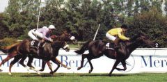 Turfkönig beim Bayerischen Zuchtrennen 1990. Foto Archiv Zeno