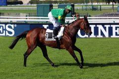 A Huge Dream mit Stephane Pasquier beim Aufgalopp in Chantilly 2013. www.galoppfoto.de - Frank Sorge