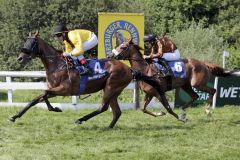 Alisar gewinnt als klare Favoritin Start-Ziel. www.galoppfoto.de - Stephanie Gruttmann