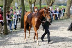 Richtig guter Zweiter beim Debut - das lässt doch hoffen auf die Zukunft (Foto: Dr. Jens Fuchs)