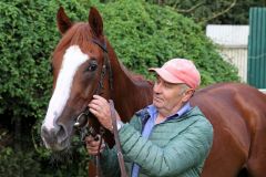 Alter Adler mit seinem Trainer Waldemar Hickst im Rennstall in Köln-Weidenpesch. ©galoppfoto - Sandra Scherning