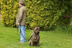 Ein gutes Team - jede Richtung im Blick