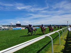 The Antarctic ist ein weiterer Gruppe-Sieger für Ballydoyle. Foto: offiziell