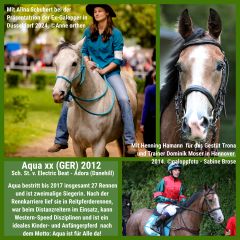 Vom Rennpferd zum Freizeitpferd - Aqua mit Alina Schubert bei der Präsentaton der Ex-Galopper 2024 in Düsseldorf und als aktives Rennpferd. ©Anne Orthen und galoppfoto.de - Sabine Brose