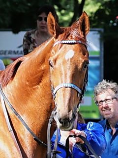 Attalos im Portrait am 5.6.2017 Köln - Foto: Dr. Jens Fuchs