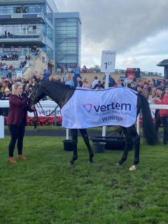 Auguste Rodin nach seinem Gruppe I-Sieg. Foto: courtesy by Doncaster racecourse