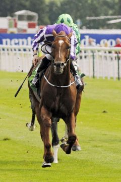 Australia mit Joseph O'Brien als Sieger in den Juddmonte International. www.galoppfoto.de - John James Clark