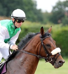 Ballydoyle am 17.6.2018 in Köln - Foto: Dr. Jens Fuchs