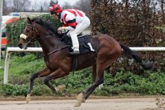 Bastiano kommt Start-Ziel zu dem erwartet souveränen Sieg. www.galoppfoto.de - Stephanie Gruttmann