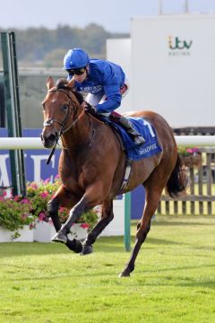 Benbatl bei seinem Sieg in den Joel Stakes 2019. www.galoppfoto.de - JJ Clark