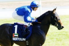 Bertolini mit Lanfranco Dettori beim Aufgalopp in Hong Kong. www.galoppfoto.de - Frank Sorge