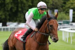 Borna mit Rene Piechulek beim Aufgalopp in Iffezheim. ©galoppfoto - Sarah Bauer