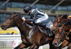 Chindit holt sich unter Pat Dobbs die Greenham Stakes. Foto: courtesy by Coolmore