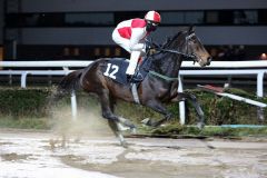 Cindarella mit Andrasch Starke beim Aufgalopp. Foto: Dr. Jens Fuchs 