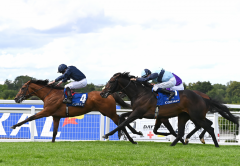 City of Troy muss sich mehr mühen als erwartet, um die "Eclipse" zu gewinnen. Foto: courtesy by Coolmore